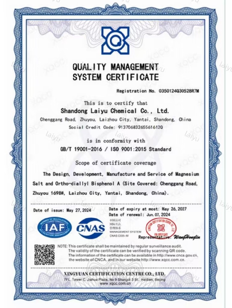 质量管理体系认证证书-英文