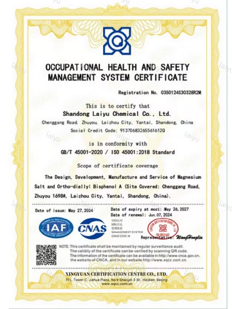 职业健康安全管理体系认证证书-英文